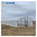 Green House Agriculture Productive Greenhouse for Mushroom